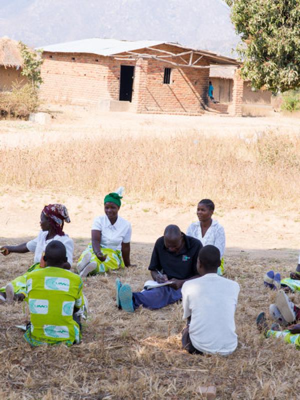 CUMO Makes Healthy VSLs